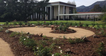 pacifica graduate institute jobs
