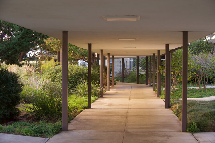 pacifica graduate institute jobs